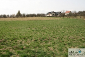 Więcej